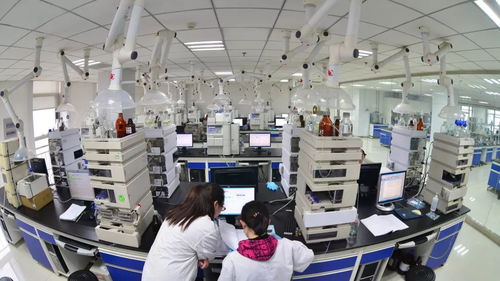 4 4 特稿生物医药健康产业 行动起来 共同勾画产业新蓝图